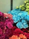 母の日｜「ＨＡＮＡ　ＭｉＹＡＢｉ」　（愛知県名古屋市中区の花キューピット加盟店 花屋）のブログ